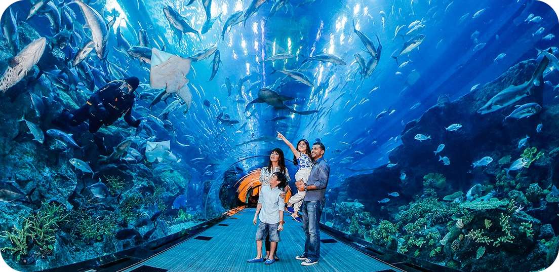 آکواریوم دبی